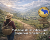 Viabilidad de las IG en Venezuela_Blog Astrid Uzcátegui