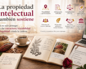 Cacao y café venezolano ingreso en la UE_2026