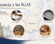 Francia_IGAI